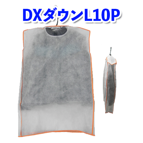 DXダウンL10P画像