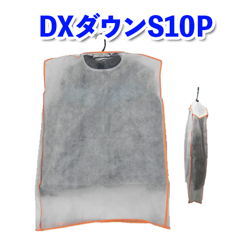 DXダウン10P画像