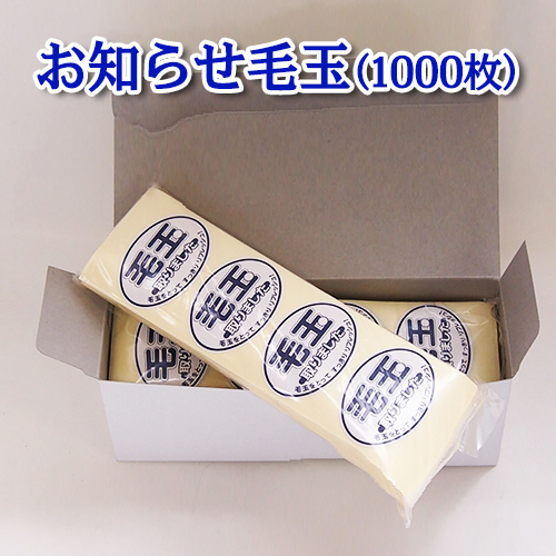 ロングホースブラシ ロングホースブラシ画像